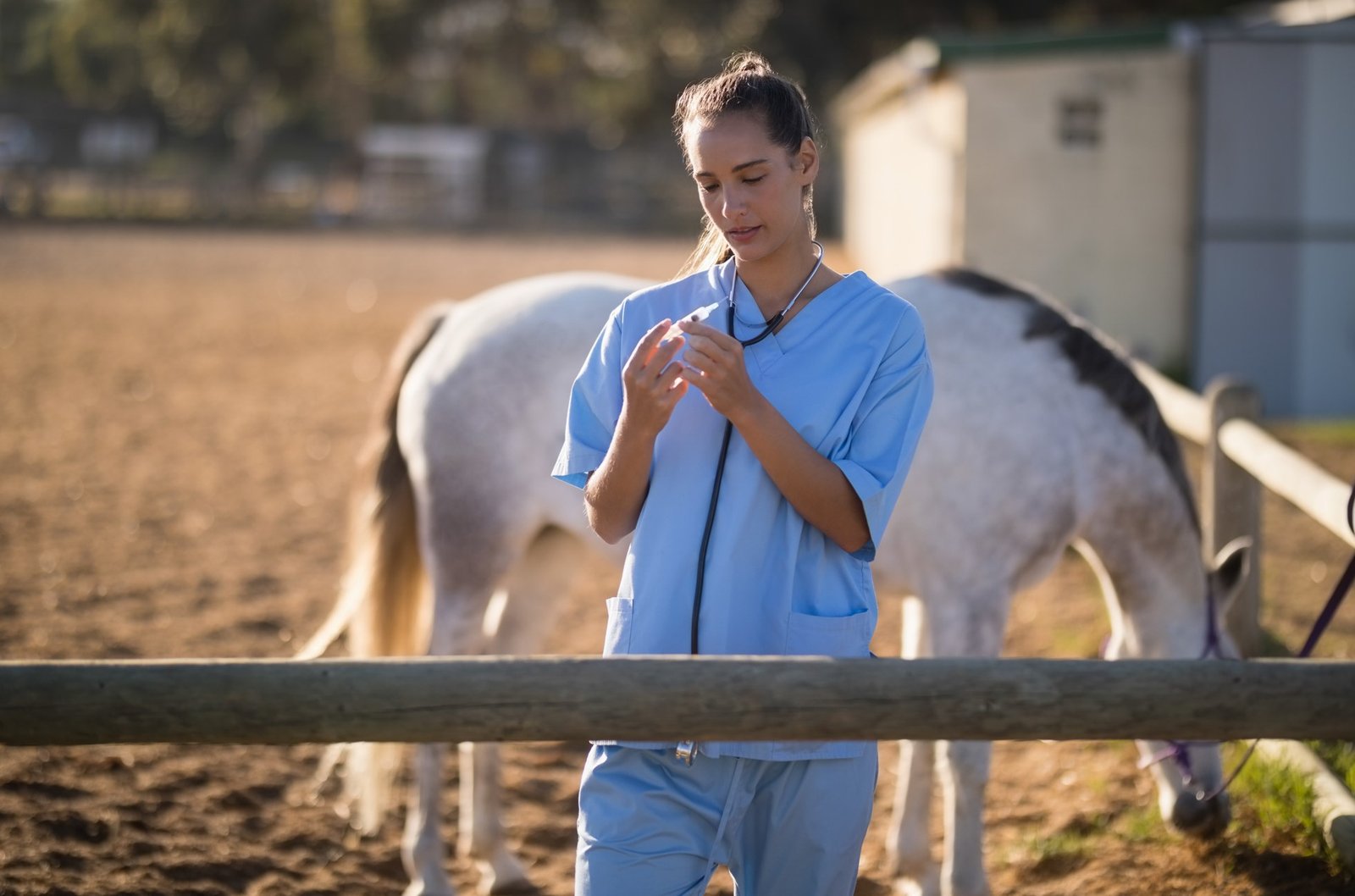 اللقاحات الضرورية للخيل: ضمان صحة الحصان وحمايته من الأمراض - تطبيق الاستشارات البيطرية الأول باللغة العربية